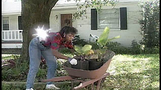 A women using a wheel barrel instead of lifting the object