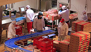 Images of food industry workplaces