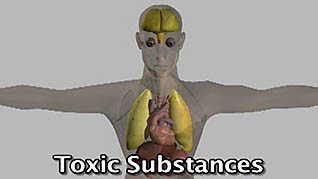 A diagram of what toxic substaces can do to your body