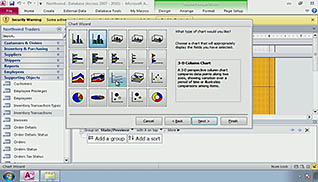 The different report visualizations in Microsoft Access