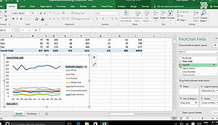 Excel cells display