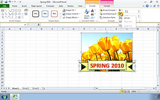 Flowers on Excel sheet