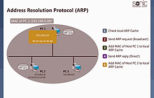 Address resolution protocol screen