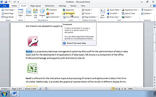 Word document display