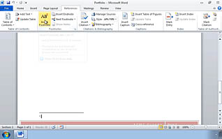 Word document display