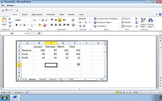 Word display with table