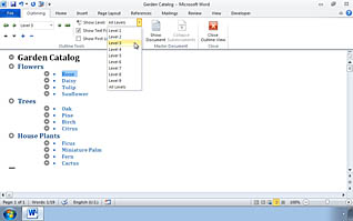 Word document display