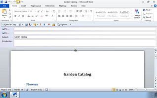 Word document display